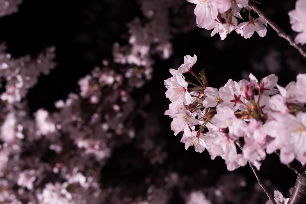 Finding Calm After a&nbsp;Storm