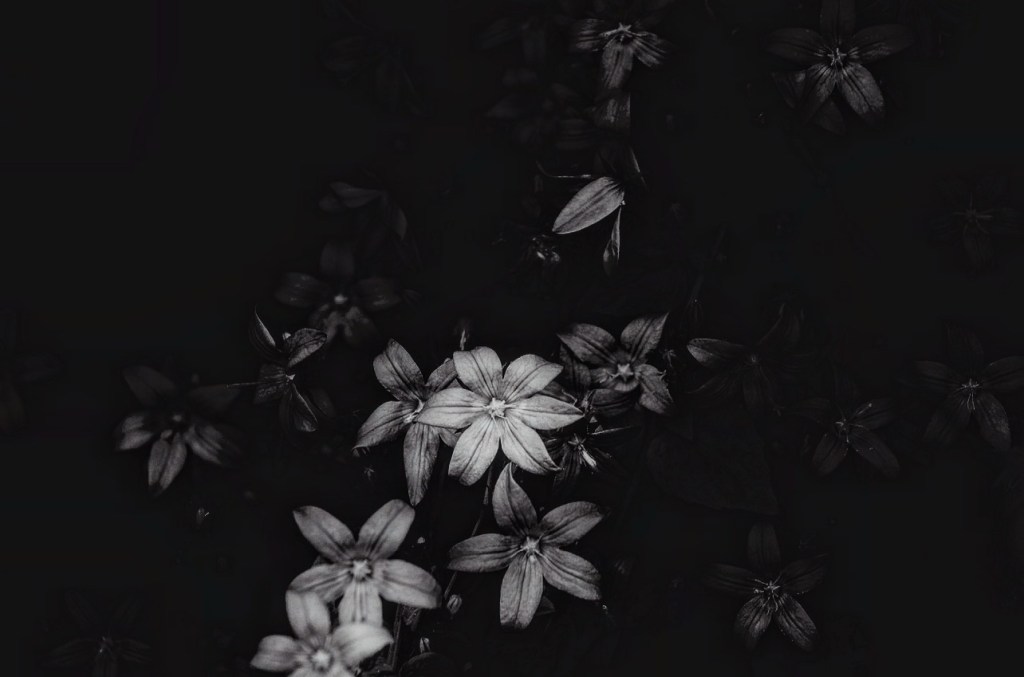 The Art of&nbsp;Returning